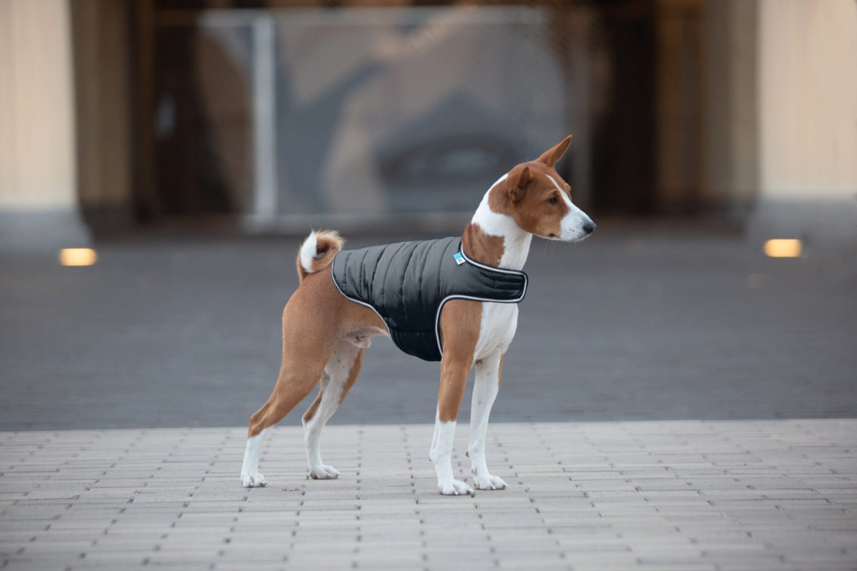 Airy Vest Dog Coat Ocieplaj cy P aszcz Dla Psa XXS 1540 Sklep airy-vest-dog-coat-ocieplaj-cy-p-aszcz-dla-psa-xxs-1540-sklep