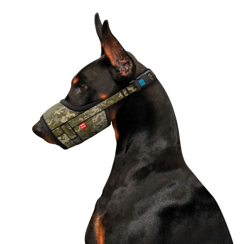 Kaganiec "Military" - WauDog