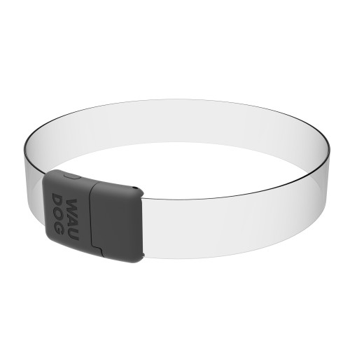 Obroża dla psa LED, RGB, , szer. 25 mm, dł. do 60 cm