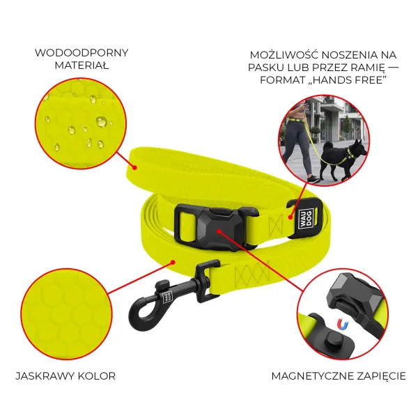 info-waudog-magnet-271526