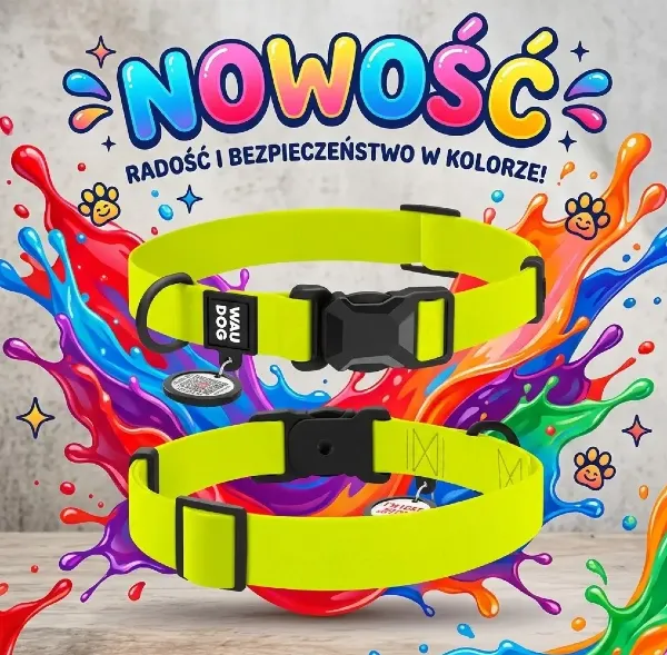 Kolorowa obroza magnet NOWOSC
