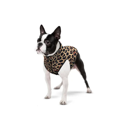 Kurtka dla psa WAUDOG Clothes Leopard – lekka i stylowa