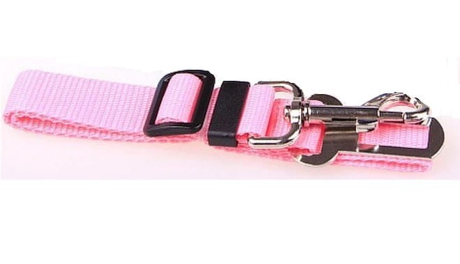 rozowa-pas-bezpieczenstwa-pies.jpg