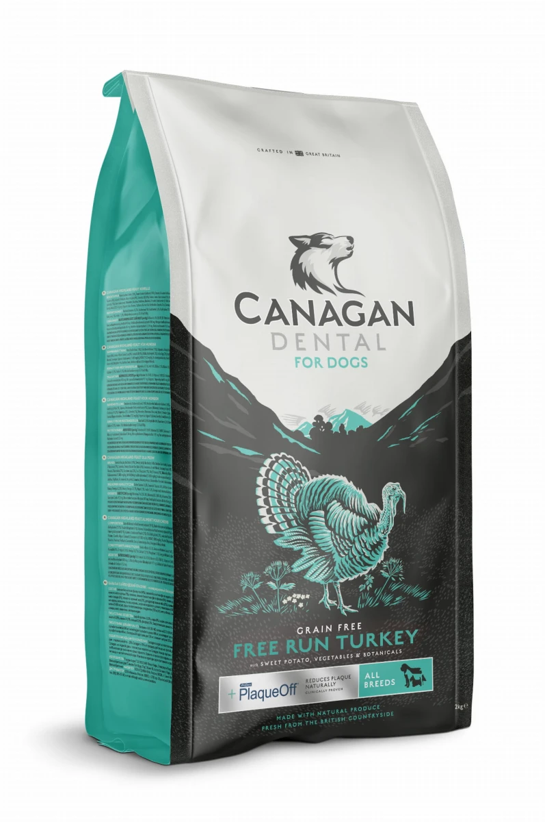 Canagan 2018 Visual Dental 01 flipped copy.jpg