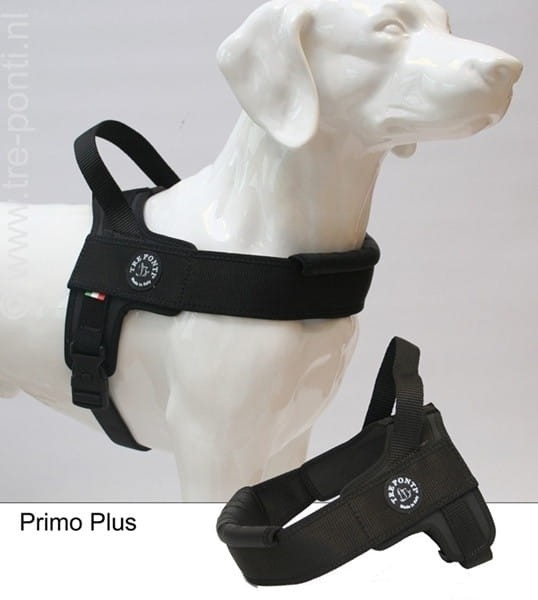primoplusczarnepies.jpg