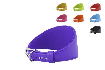 Obroża dla charta COLLAR GLAMOUR 34-40 cm L 20 mm