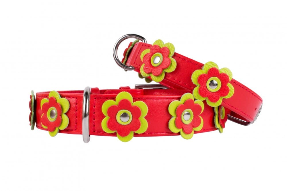 flower_dog_collar.jpg