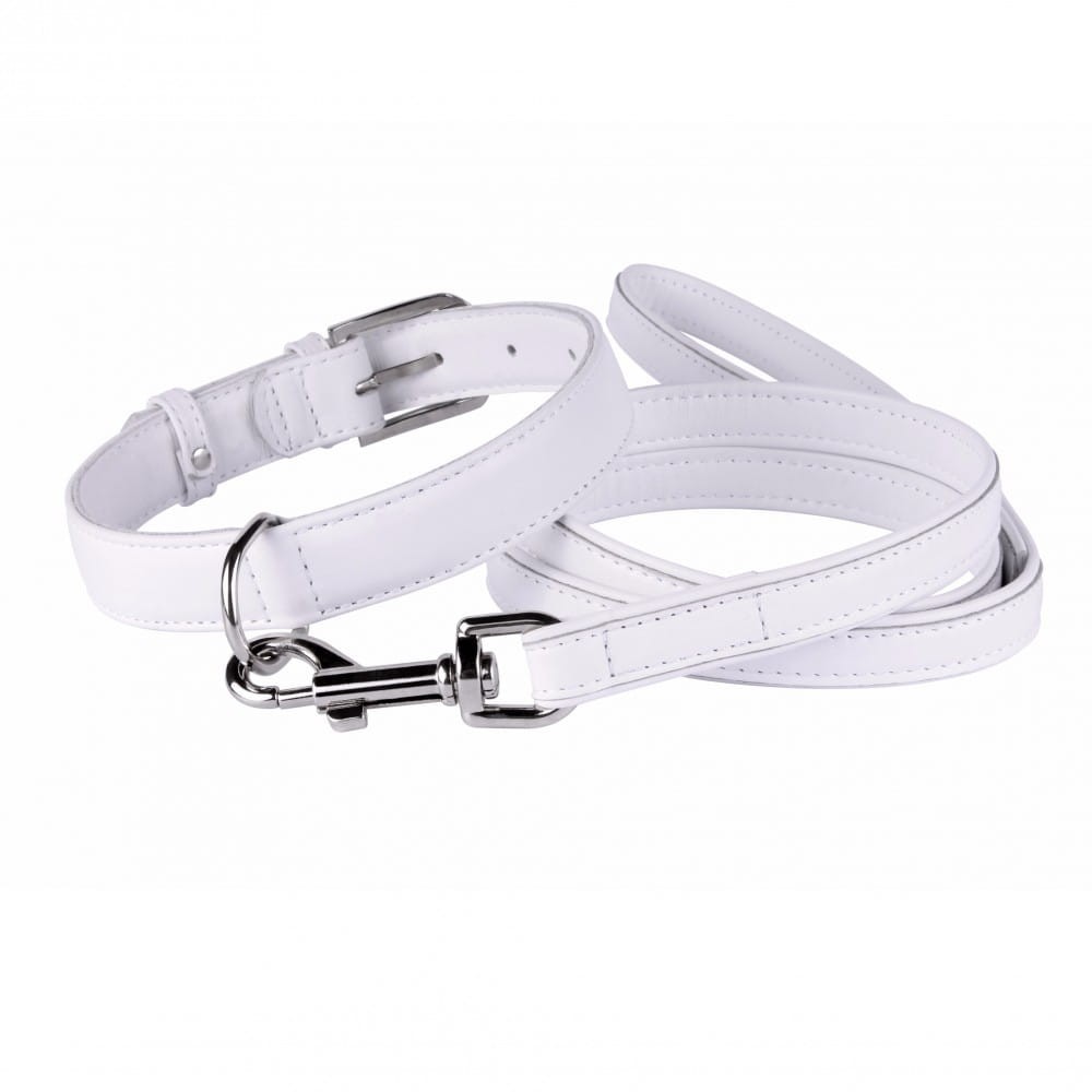 leather_dog_collar_leash_set_white111-origin.jpg
