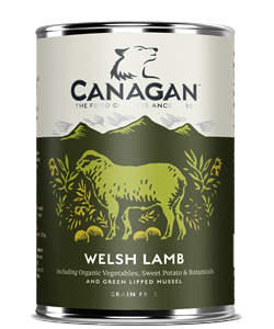 wet-dog-lamb17.png