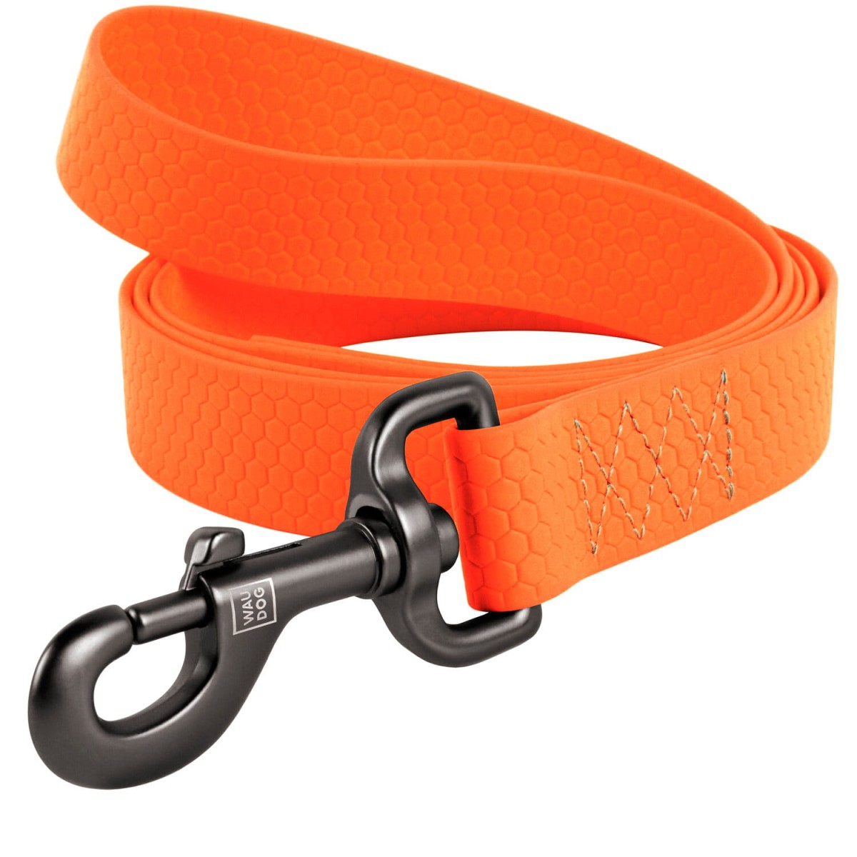 leash-orange_5.jpg