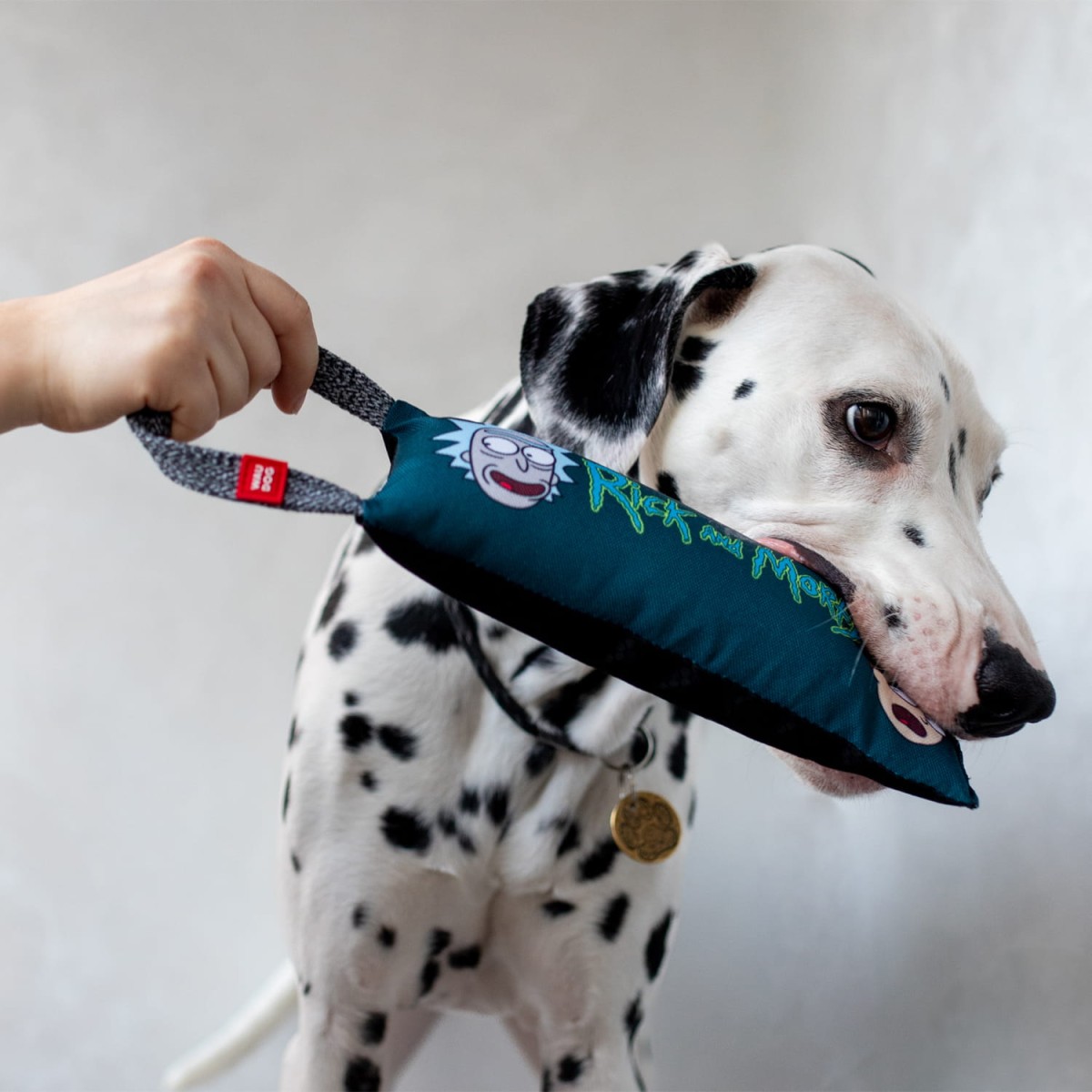 631-0280_03_08 (1).jpg