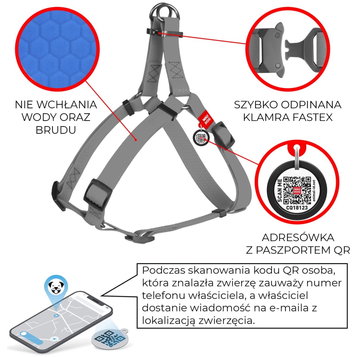 info-harness-wp-1200x1200.jpg