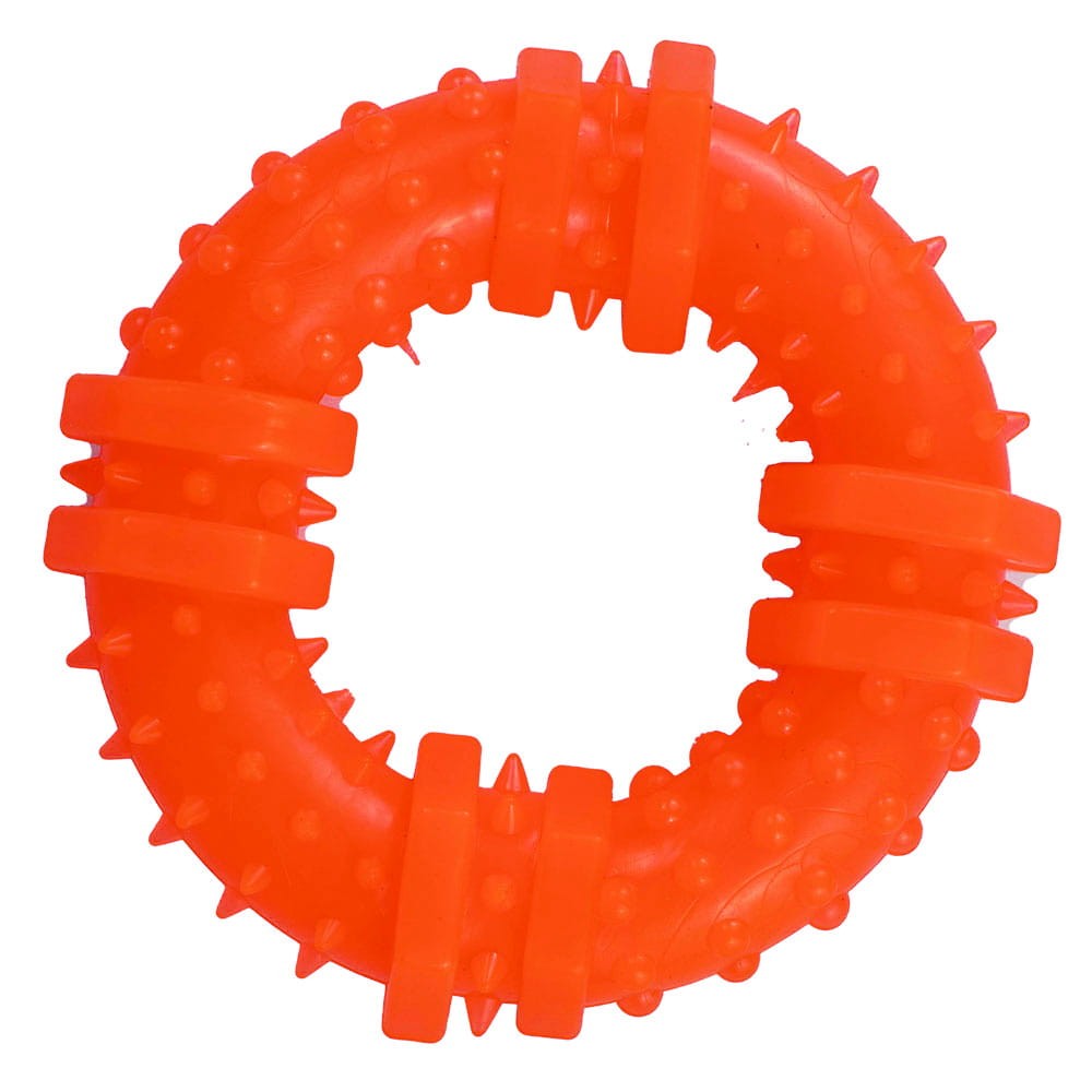 Ringo_orange.jpg