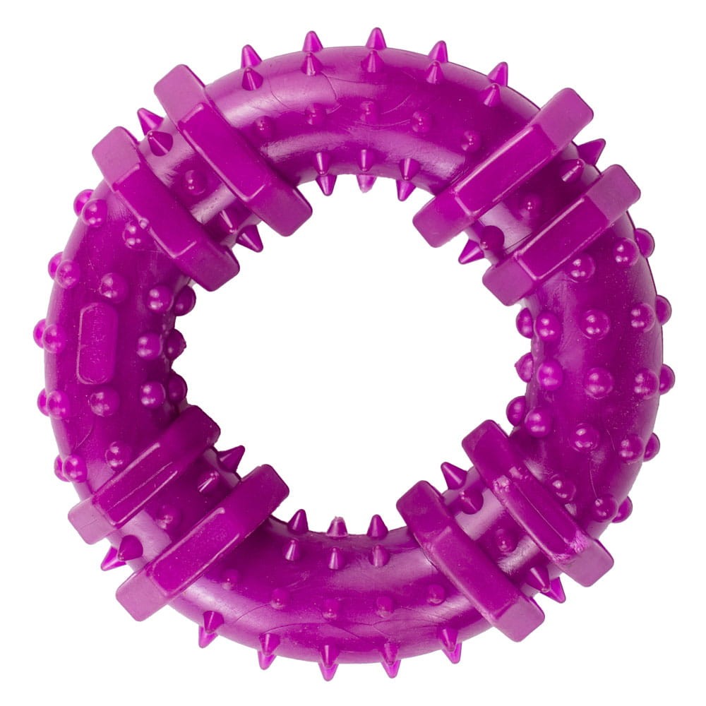 Ringo_purple.jpg