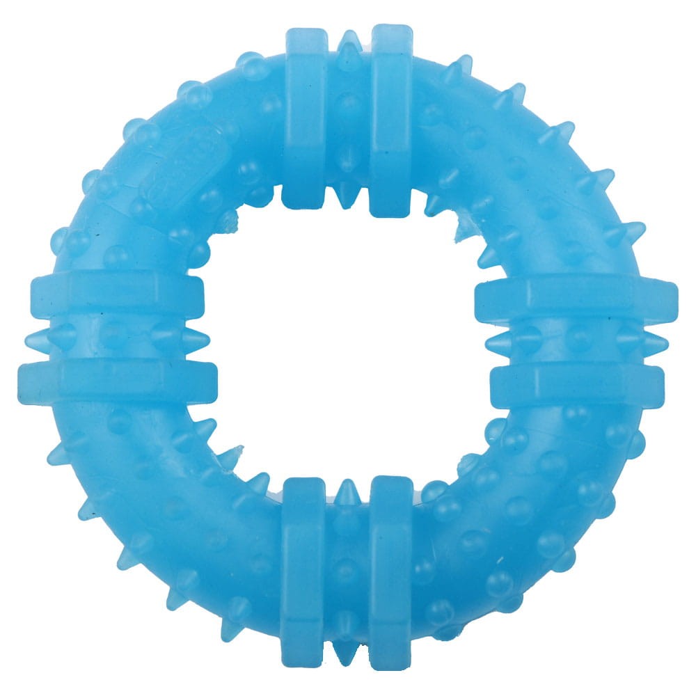 Ringo_blue.jpg