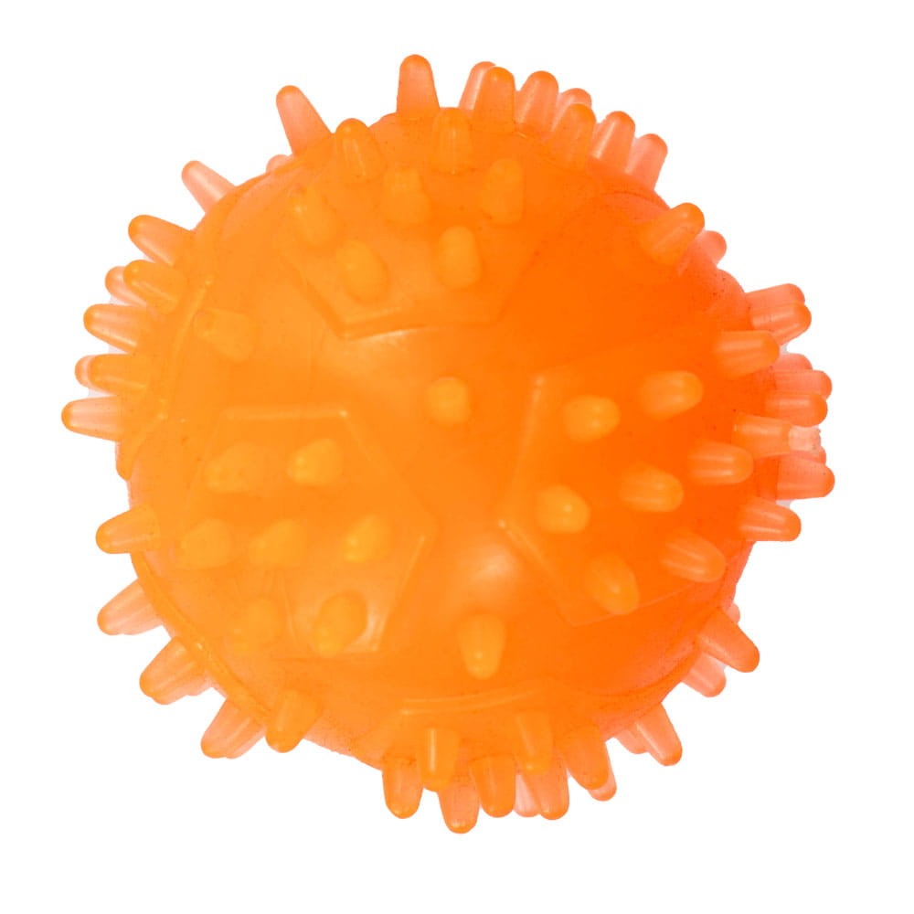 Pilka_kolce_orange.jpg