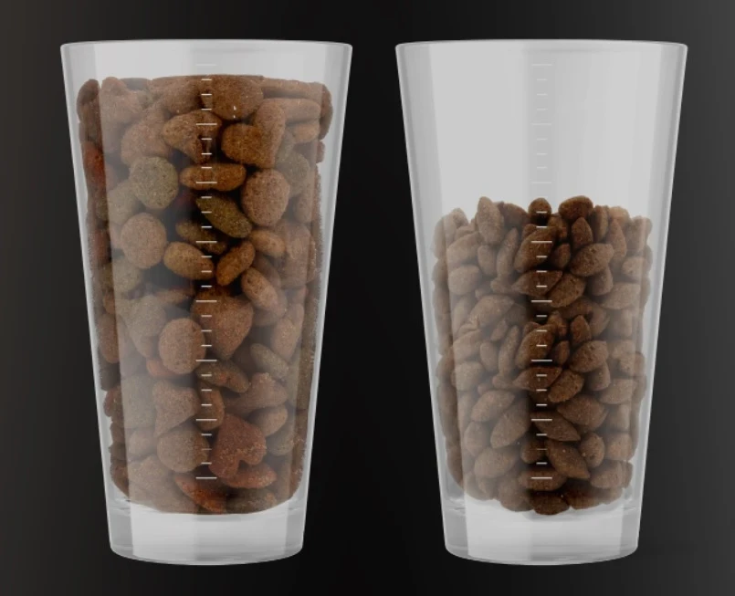 INSECT PROTEIN_30.webp