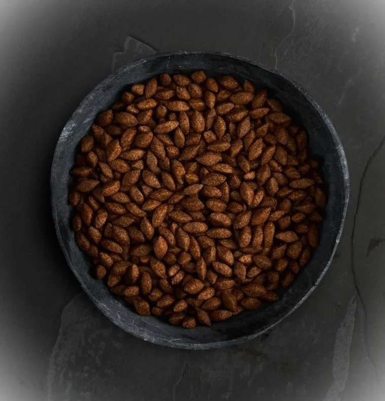 INSECT PROTEIN_granulat.webp