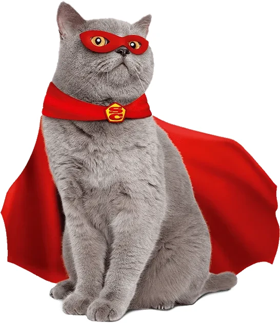 super cat w puller shop pl.webp