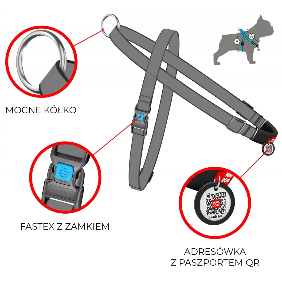 info szelki dla psa X w puller.shop.pl.webp