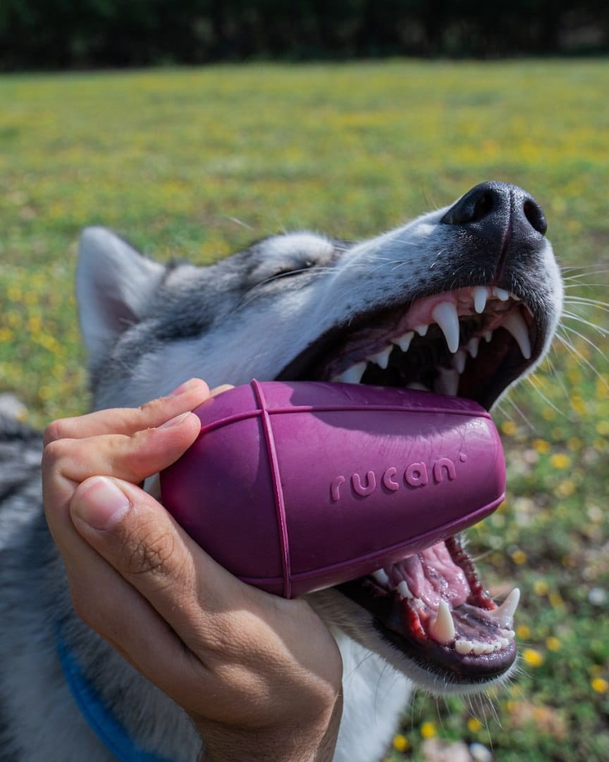 RUCAN-CONIC-Big-Purple-L-badzo-twarda-fioletowa-zabawka-na-przysmaki-dla-psa_[3694]_1200.jpg