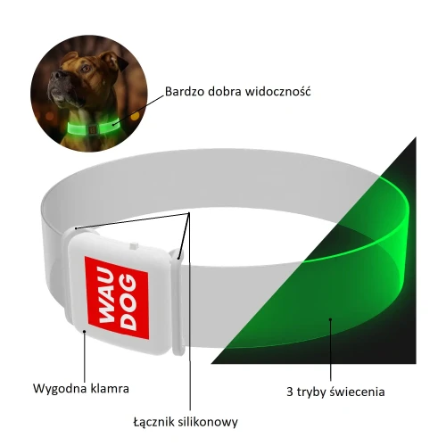 info led obroza w sklepie puller.shop.pl.webp