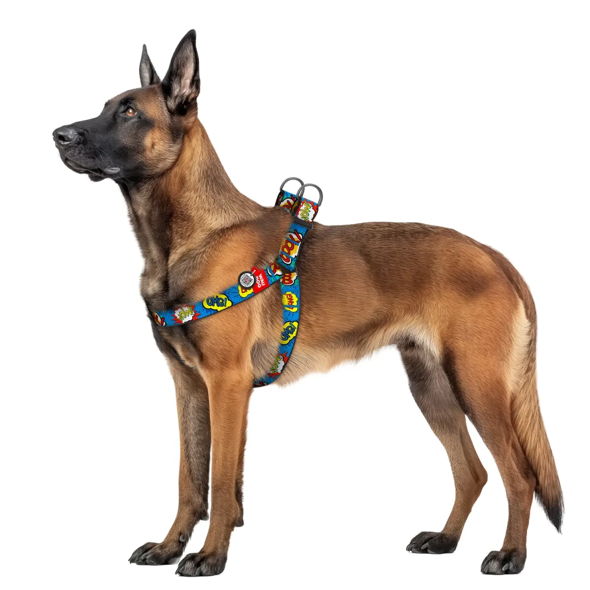 owczarek w szelkach WoW w puller.shop.pl.webp