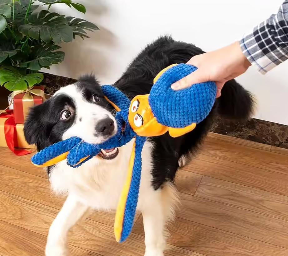 PETGANG-Zabawka-dla-psa-OSMIORNICA-z-duza-glowa-4.png