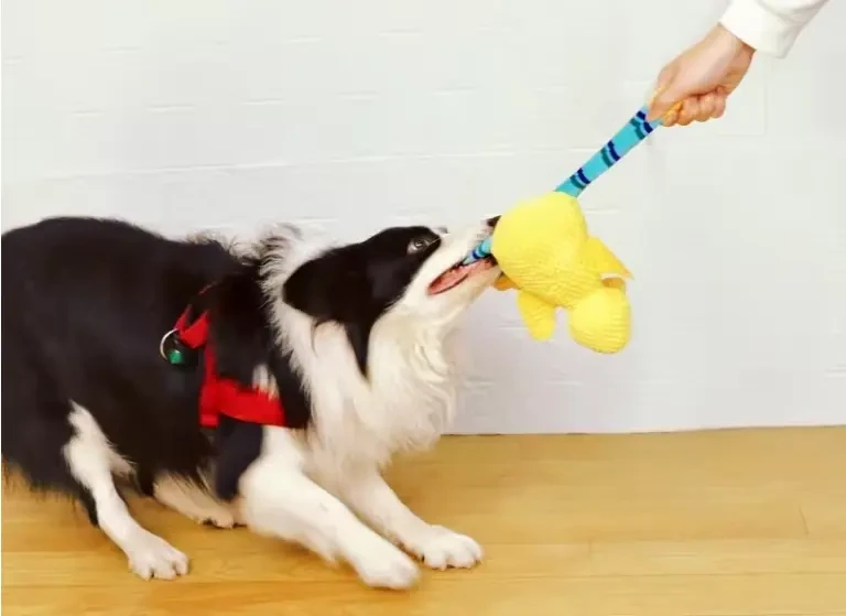 Zabawka-dla-psa-KACZKA-z-dmuchanymi-nogami-8.webp