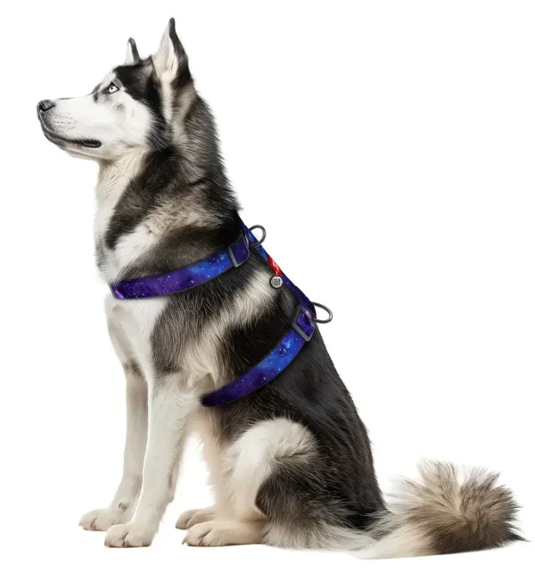 Szelki guard na psie,  inspirowane i z logo NASA 21