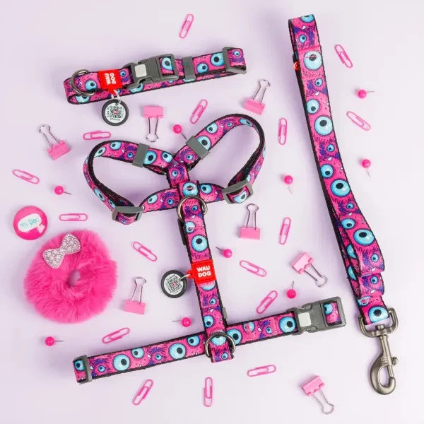 obroza smycz szelki wzór MONSTER EYE.webp