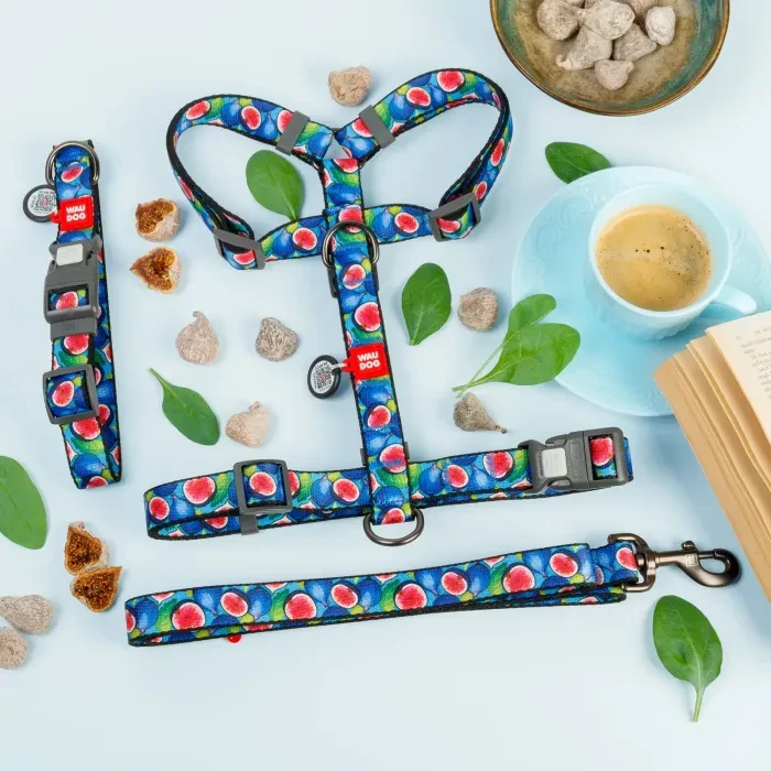 obroza smycz szelki wzór Figi.webp