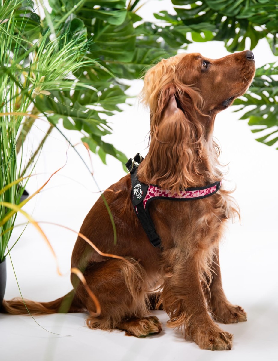 Szelki-dla-psa-TRE-PONTI-rozowe moro-3.jpg