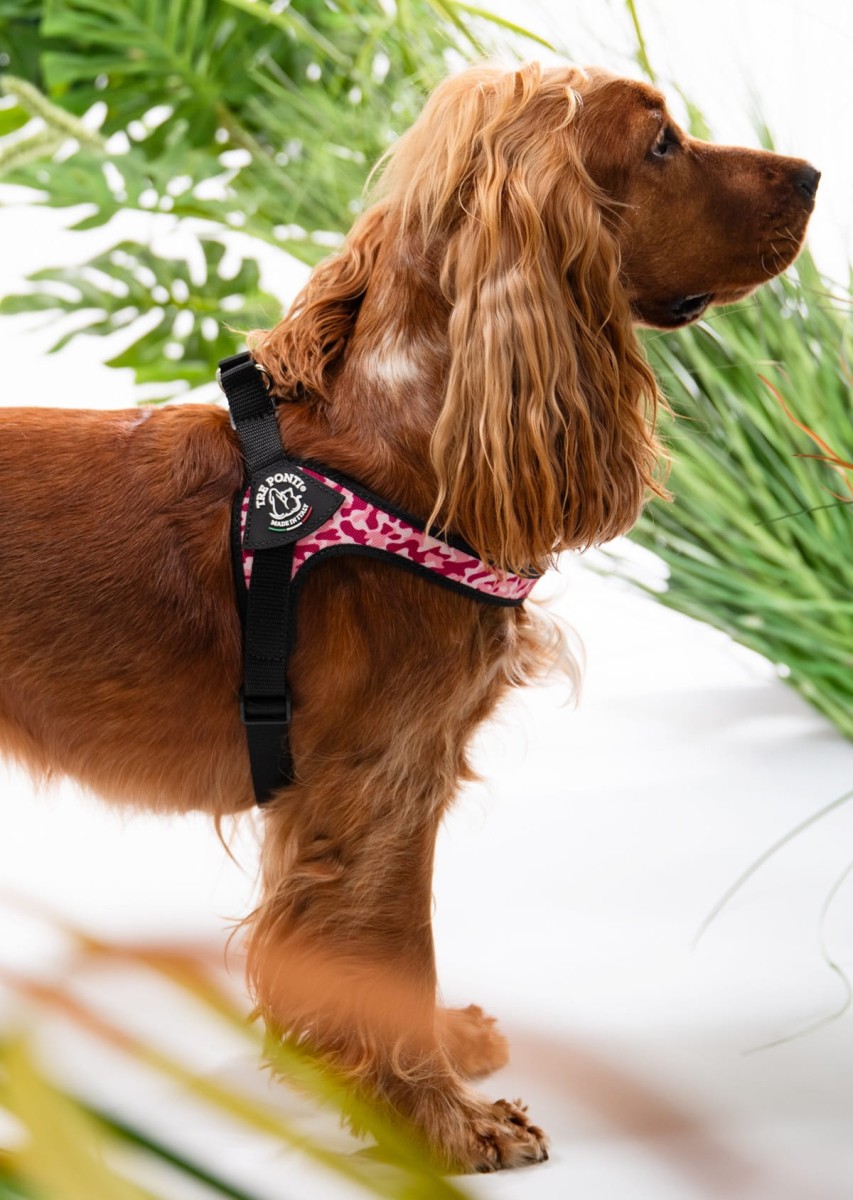Szelki-dla-psa-TRE-PONTI-moro rozowe-2.jpg