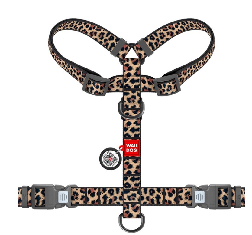 Szelki Leopard M.jpg