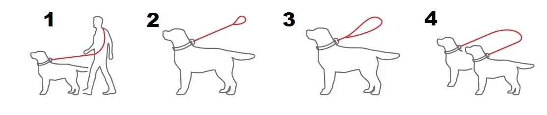 smycz przepinana 300cm 4 sposoby.webp