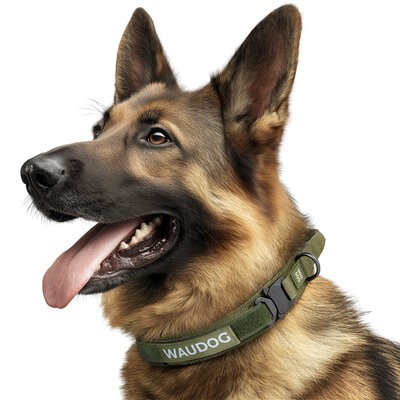 pies w obrozy taktycznej PRO