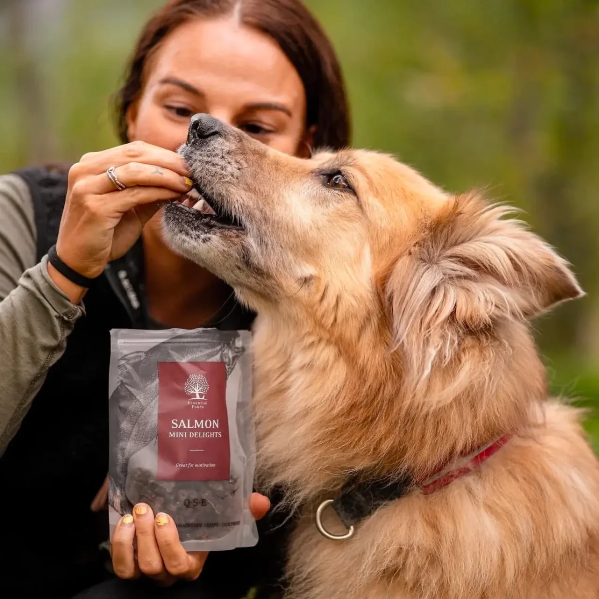 Mini_delights_salmon (1).webp