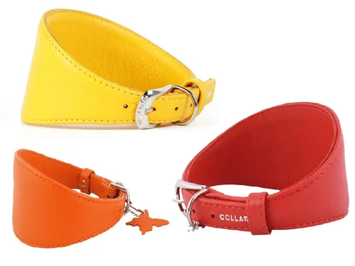 Obroża dla charta COLLAR GLAMOUR 34-40 cm L 20 mm