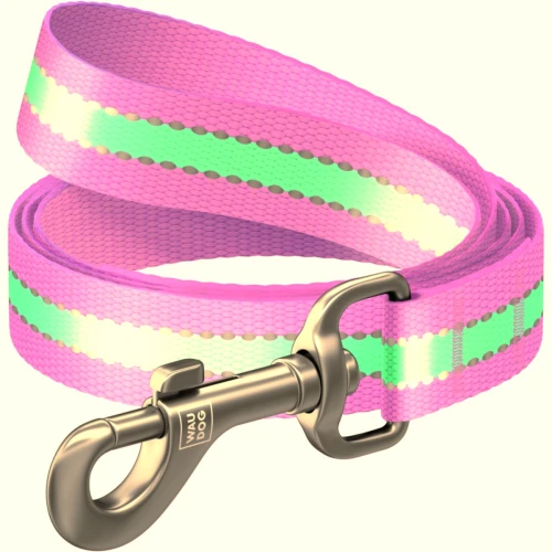 Smycz miejska dla psa nylonowa WauDog Nylon świecąca się w ciemności 25mm 122cm