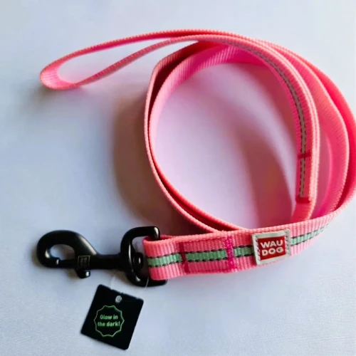 Smycz miejska dla psa nylonowa WauDog Nylon świecąca się w ciemności 25mm 122cm