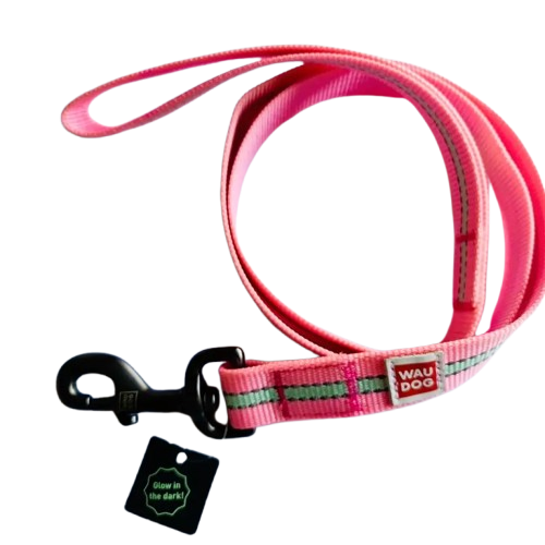 Smycz miejska dla psa nylonowa WauDog Nylon świecąca się w ciemności 25mm 122cm