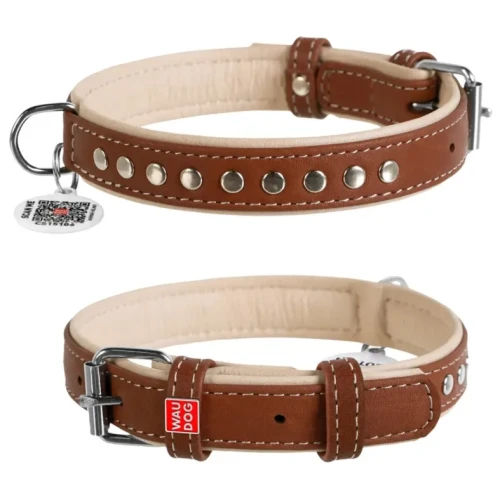 Obroża skórzana z napami CoLLaR Soft 30-39 cm x 20 mm -  brązowy