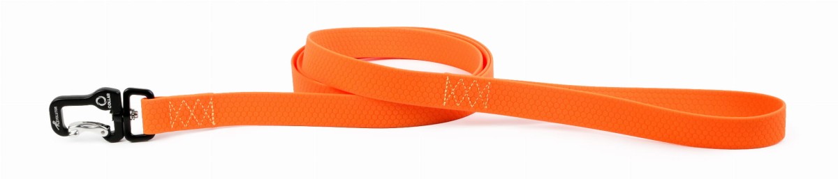 Collar_Evolutor.jpg