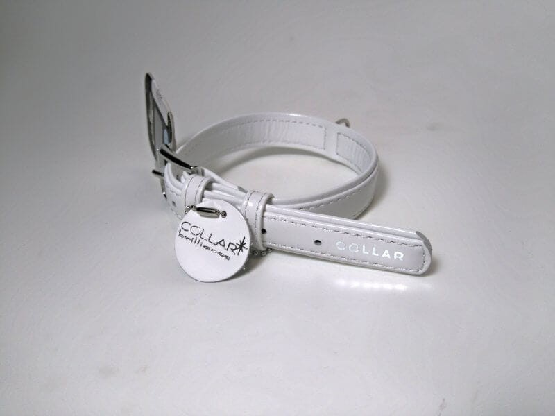 image009 (1).jpg