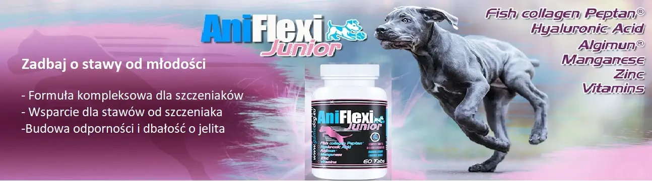 Junior -GameDog Atlantis Partner- Puller Shop - Puller, Canagan  naturalna karma dla psów i kotów