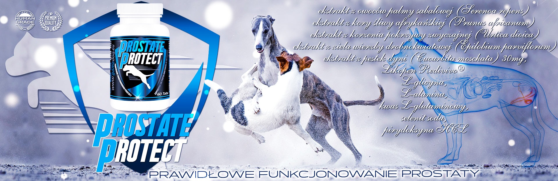 Walka z prostatą u psów Atlantis Partner- Puller Shop - Puller, Canagan  naturalna karma dla psów i kotów